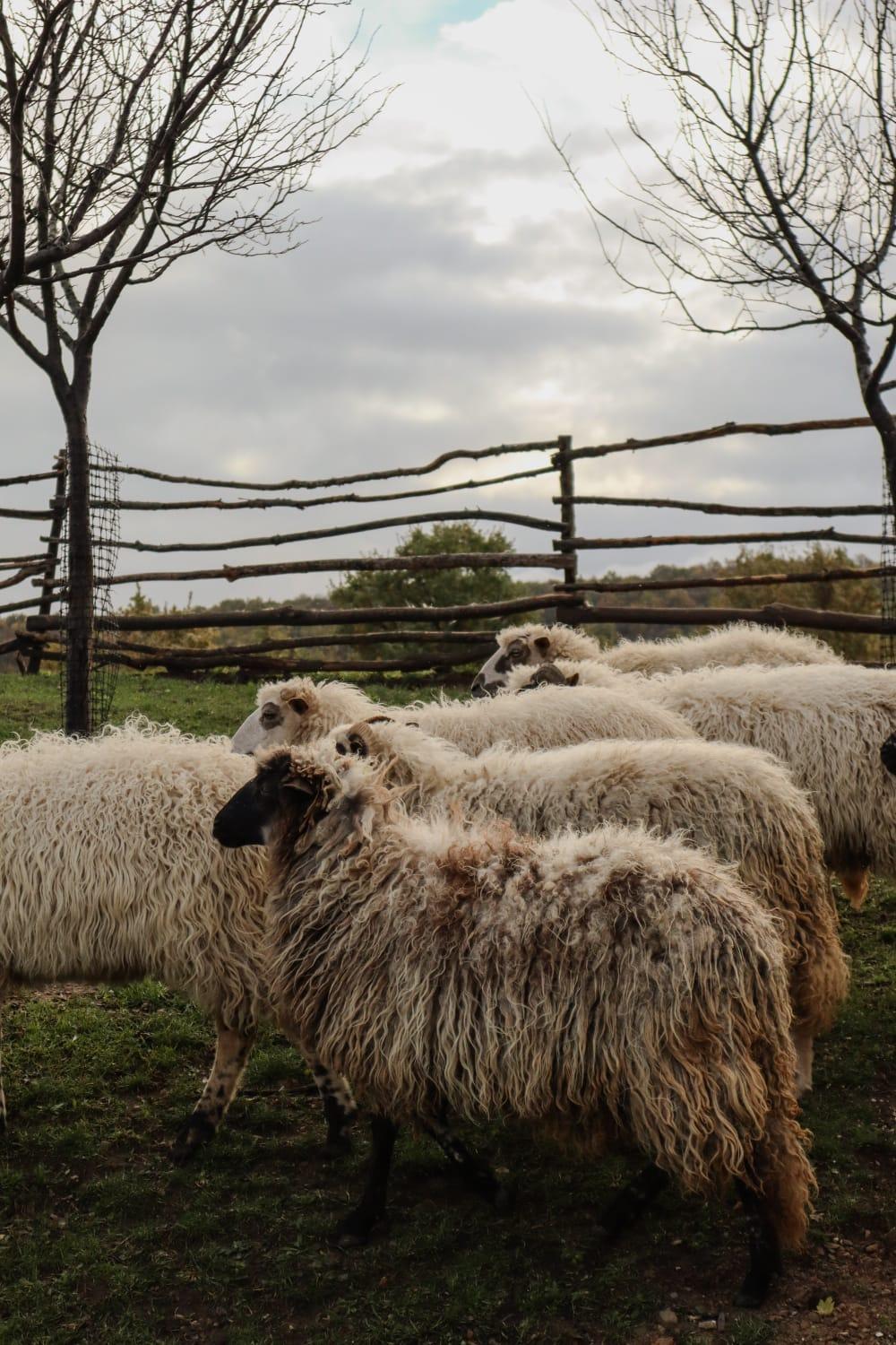 Chez Marthe, Organic Farm Stay クニン エクステリア 写真