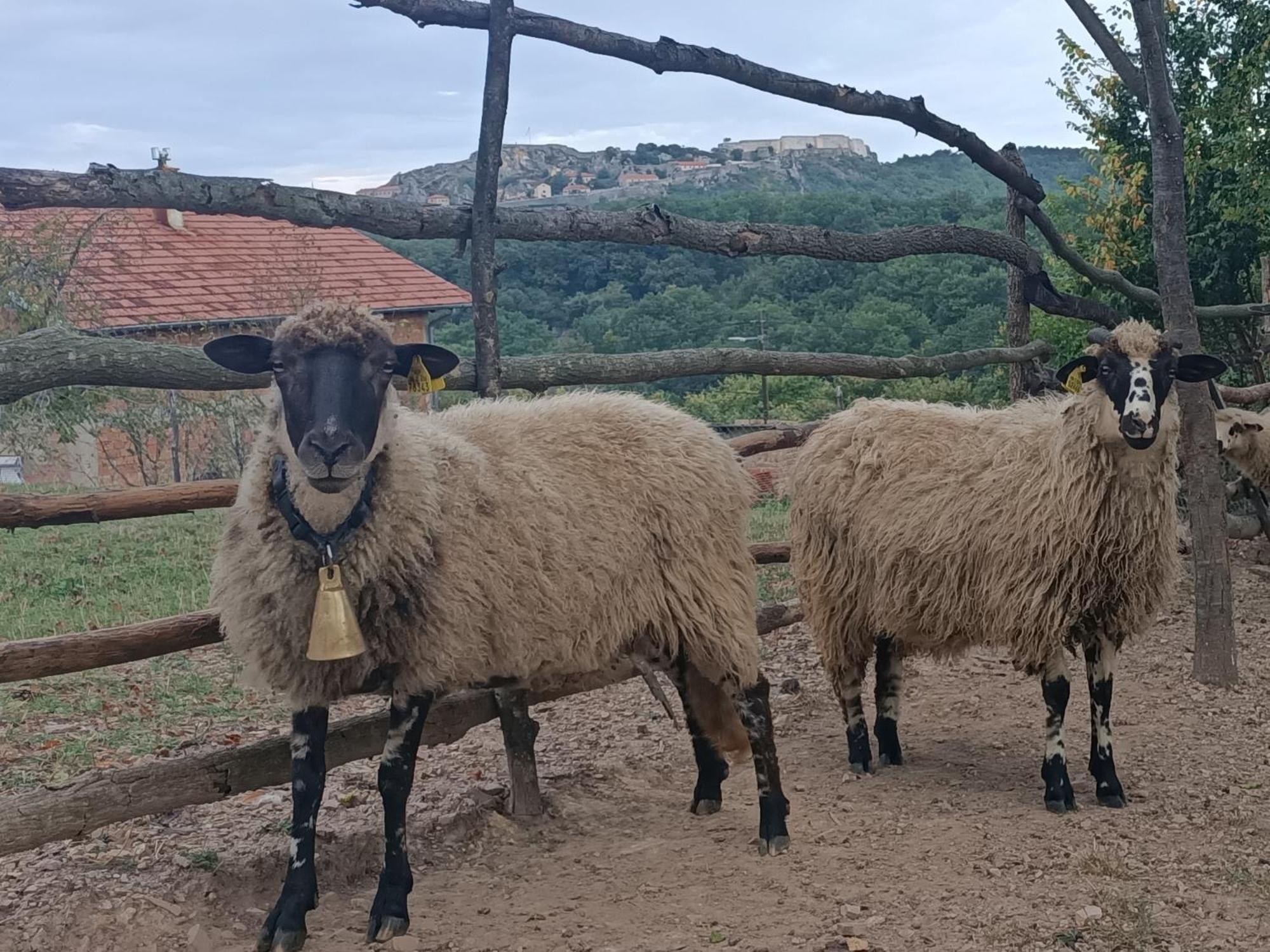Chez Marthe, Organic Farm Stay クニン エクステリア 写真
